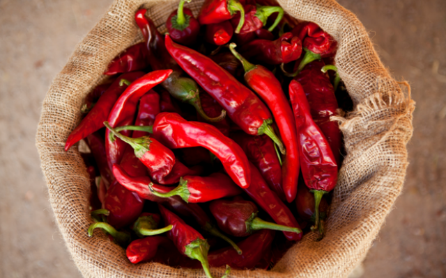 20lb Sack Red Chile Fresh or Roasted - Seasonal (August-October)