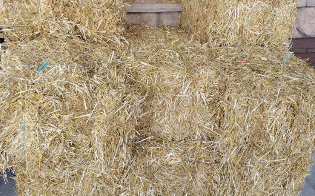 Full Straw Bales - Seasonal