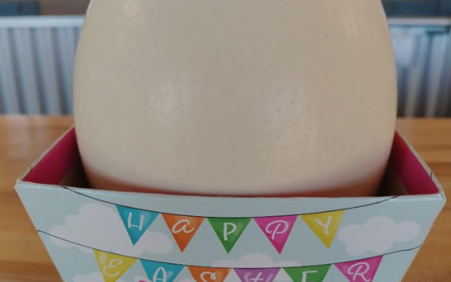Large Ostrich Eggs