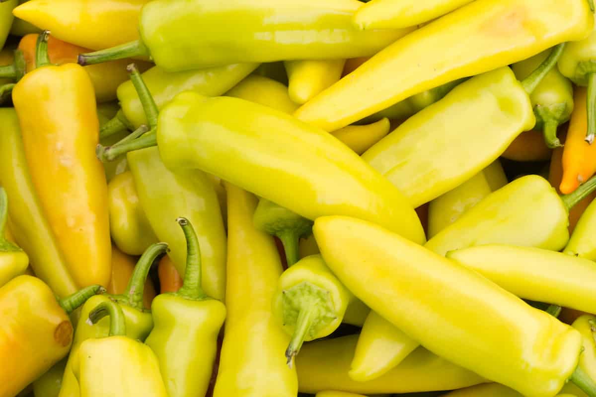 20lb Sack Yellow Hots Fresh or Roasted - Seasonal