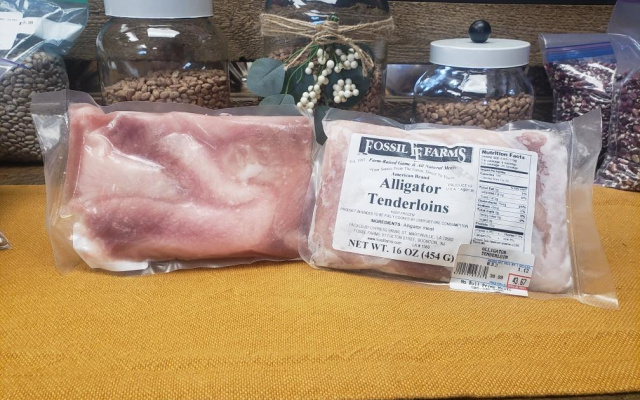 Alligator Tenderloin