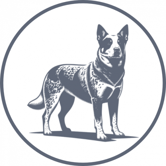 No Bull Prime Meats - Rancher's Dog Logo