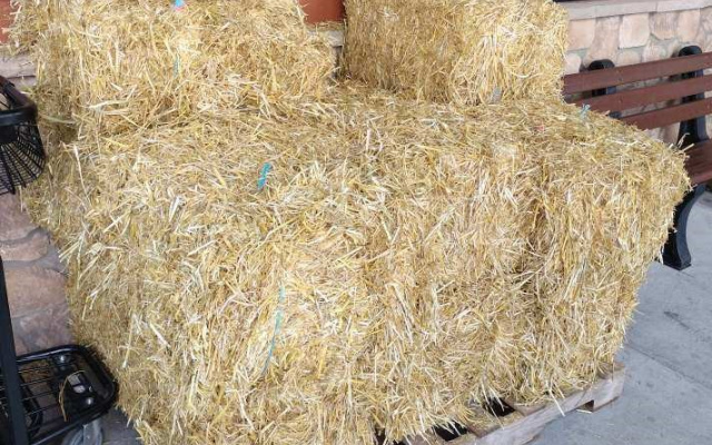 1/2 Straw Bales - Seasonal