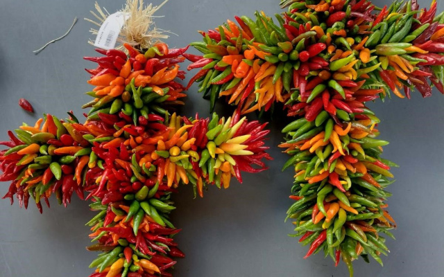 Pequin Cross - Seasonal