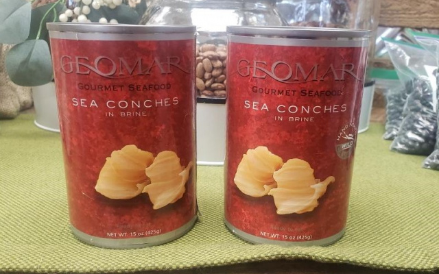 Conches in Brine