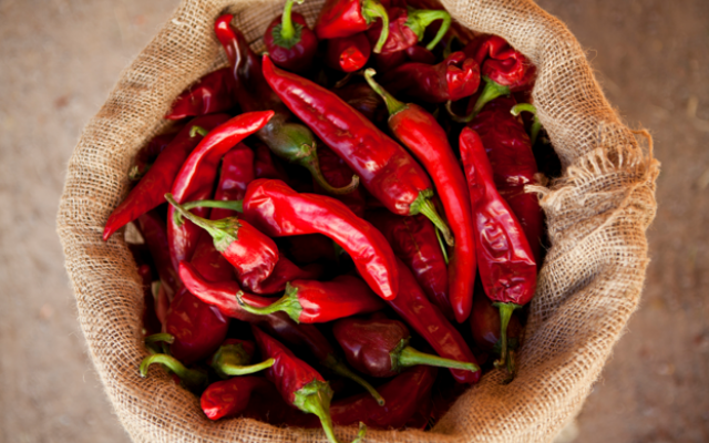 40lb Sack Red Chile Fresh or Roasted